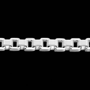 Silver Box Chains